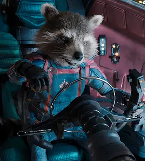 Profile image of Rocket
