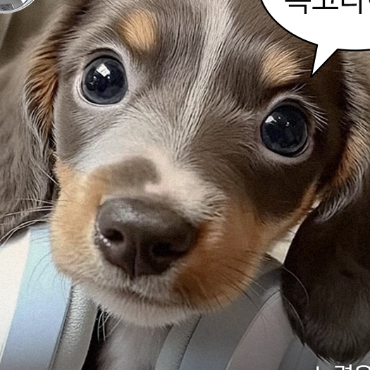 에이티즈 정우영 대표 이미지