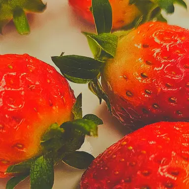 Profile image of 박형석