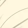 Profile image of 。