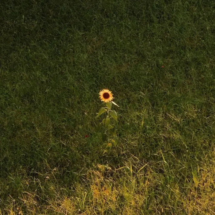 Eugyagya5018의 김일영