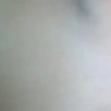 Profile image of 멜로우