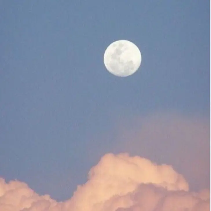 Melody1010sy의 이창섭