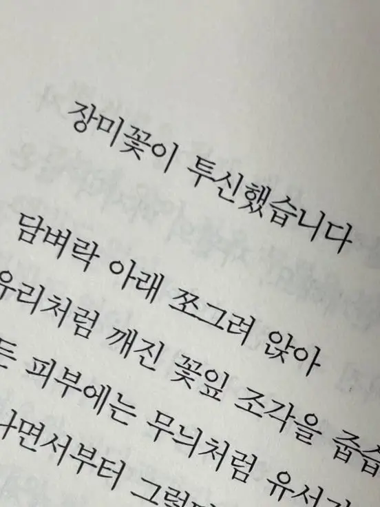 DaydreamCorporation의 왜 제가 하는 살인은 합법이 아니죠?
