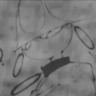 Profile image of Alex