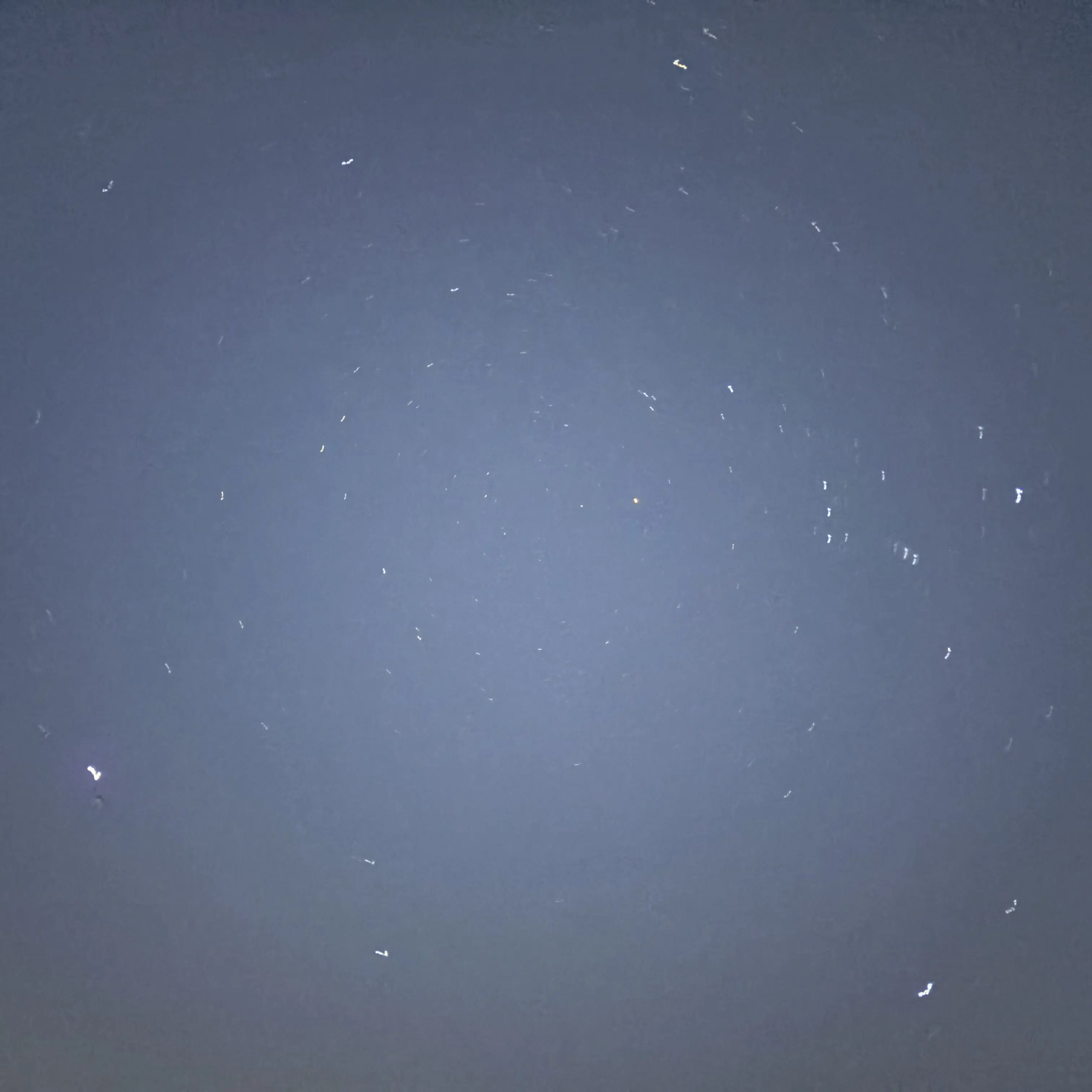 GummyTro001의 남녀무리