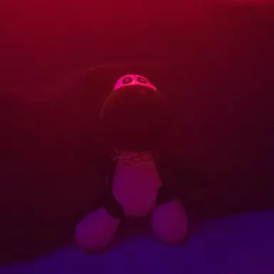 Profile image of Black Yoshi