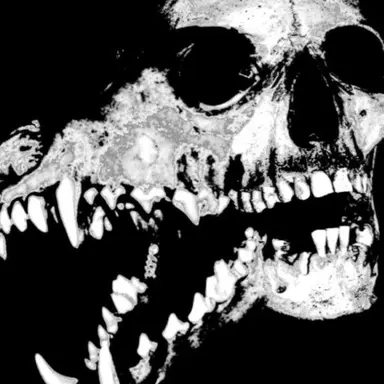 Profile image of Vorryn