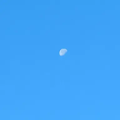 Profile image of 테스트기
