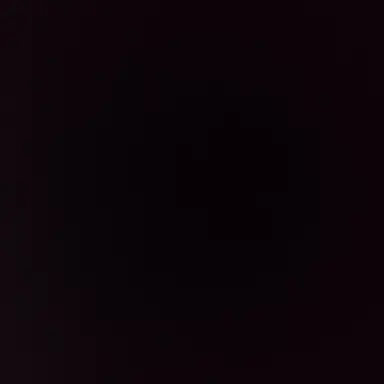 Profile image of 엑스