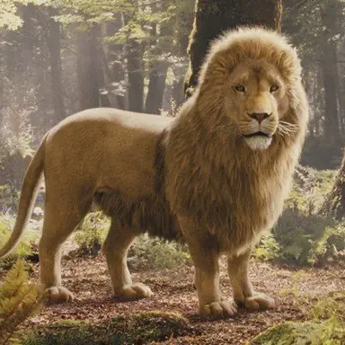 Profile image of Aslan