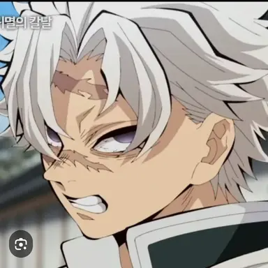 Profile image of 시나즈가와 사네미