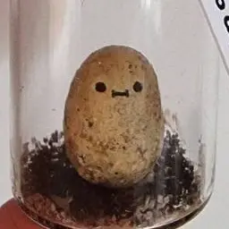 Profile image of 긍정감자