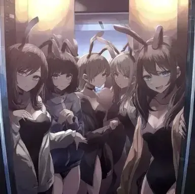 Profile image of Bunny in the Elevator
