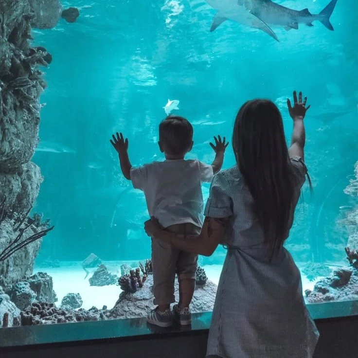 이유라