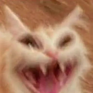 Profile image of 여우