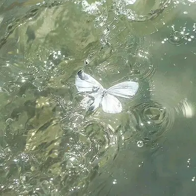 Profile image of 공룡