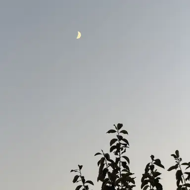 Profile image of 서윤