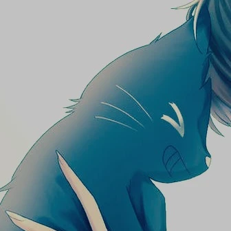 キヨ猫