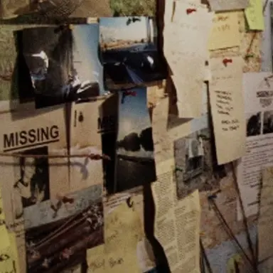 Profile image of 머레이 바우먼