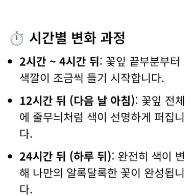 Profile image of 선생님