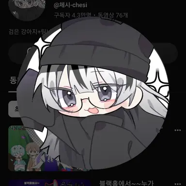 Profile image of 체시