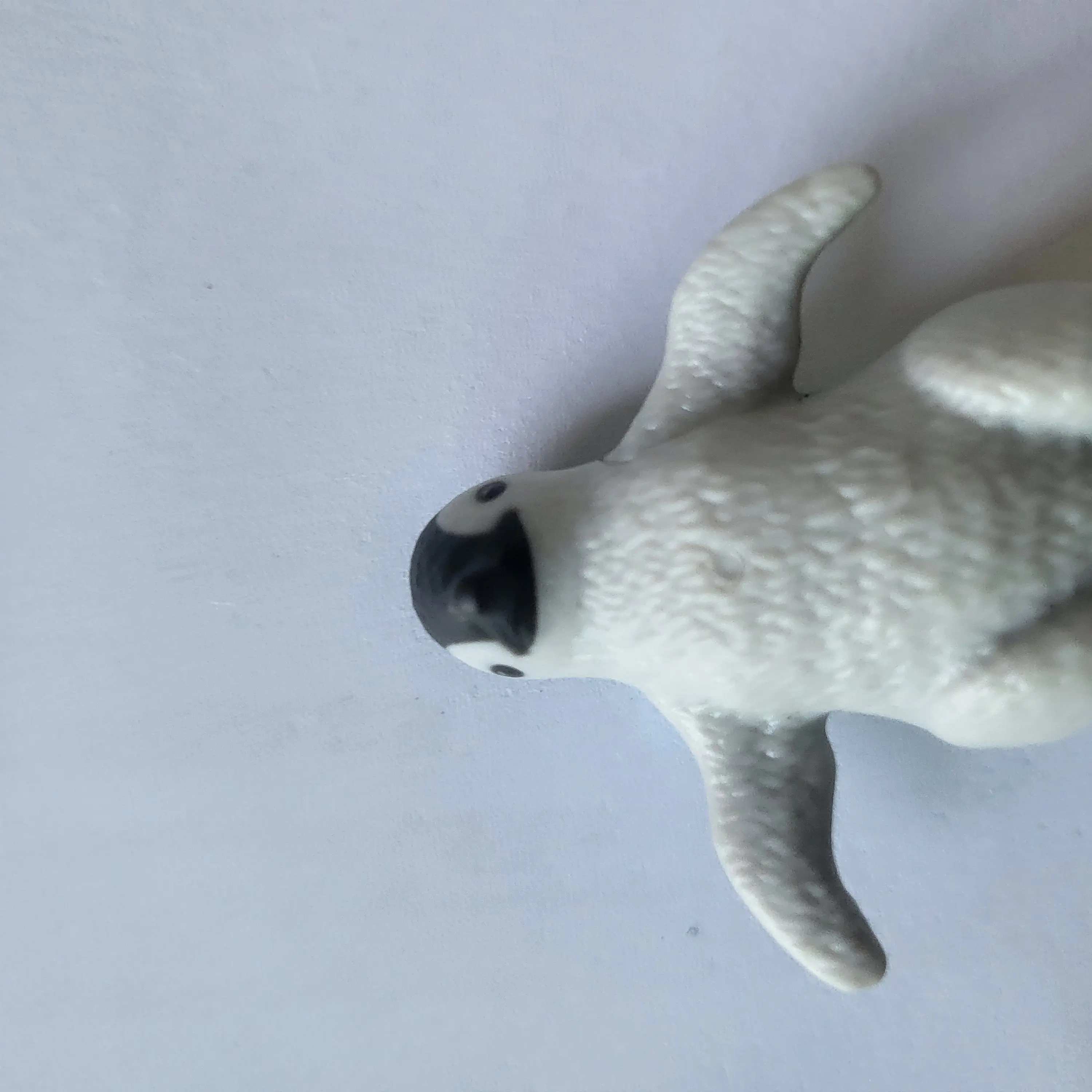 AcidicTapir6700의 남자 대학교의 여선생