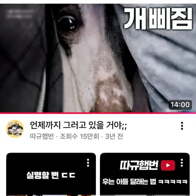 Profile image of 갑돌이