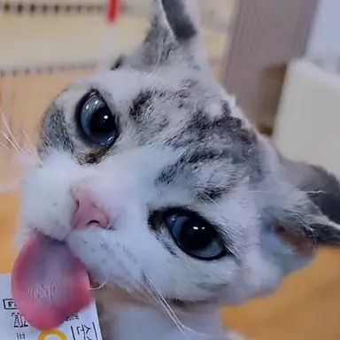 Profile image of 유미