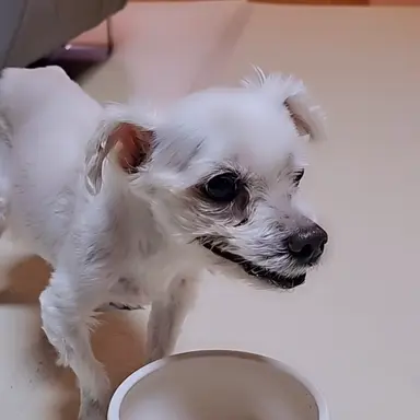 Profile image of 아담이