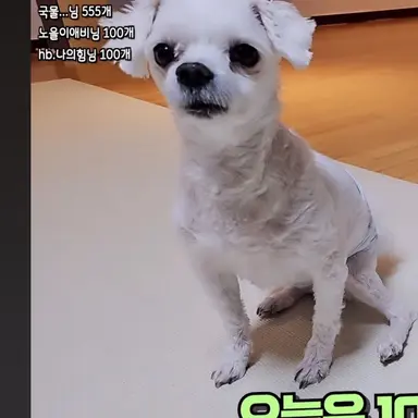 Profile image of 아톰이