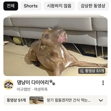Profile image of 갑순이
