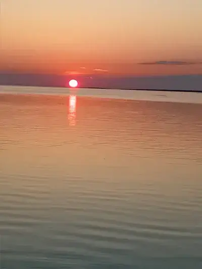 VitalCello3353의 Roalty