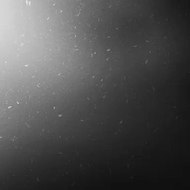 Profile image of イギリス