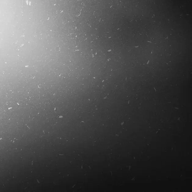 ShabbyRock5226의 ショタってよいよね。