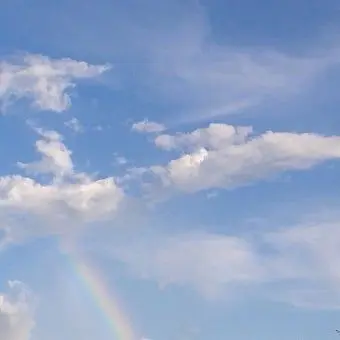 Profile image of 서해요