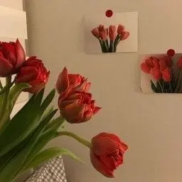 Profile image of 최한유