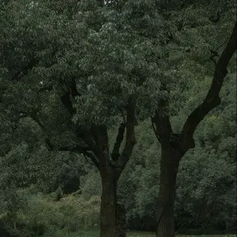 Haikyuu0819의 ㅎ ㅎ ㅎ