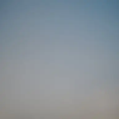Profile image of シュウ　フェンファン