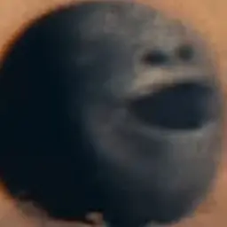 Profile image of 칼리스토
