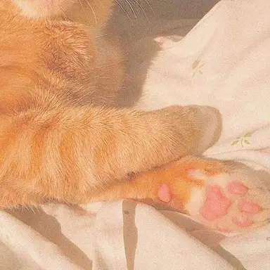 Profile image of 박 덕개