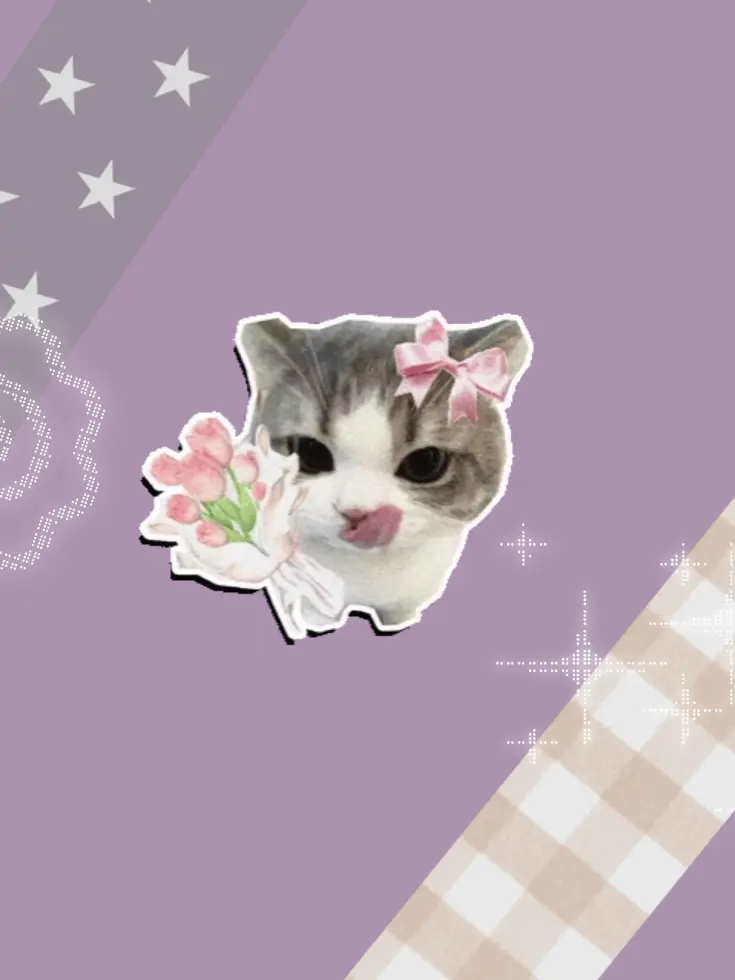 roheeee의 片思い