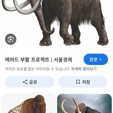 Profile image of 여우