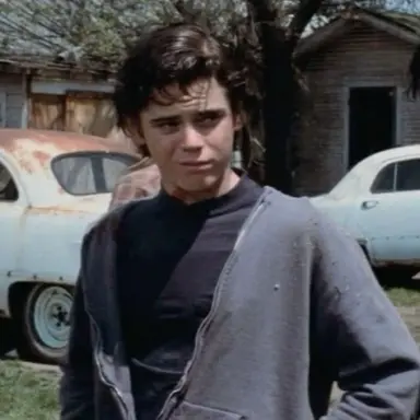 Profile image of Ponyboy Curtis