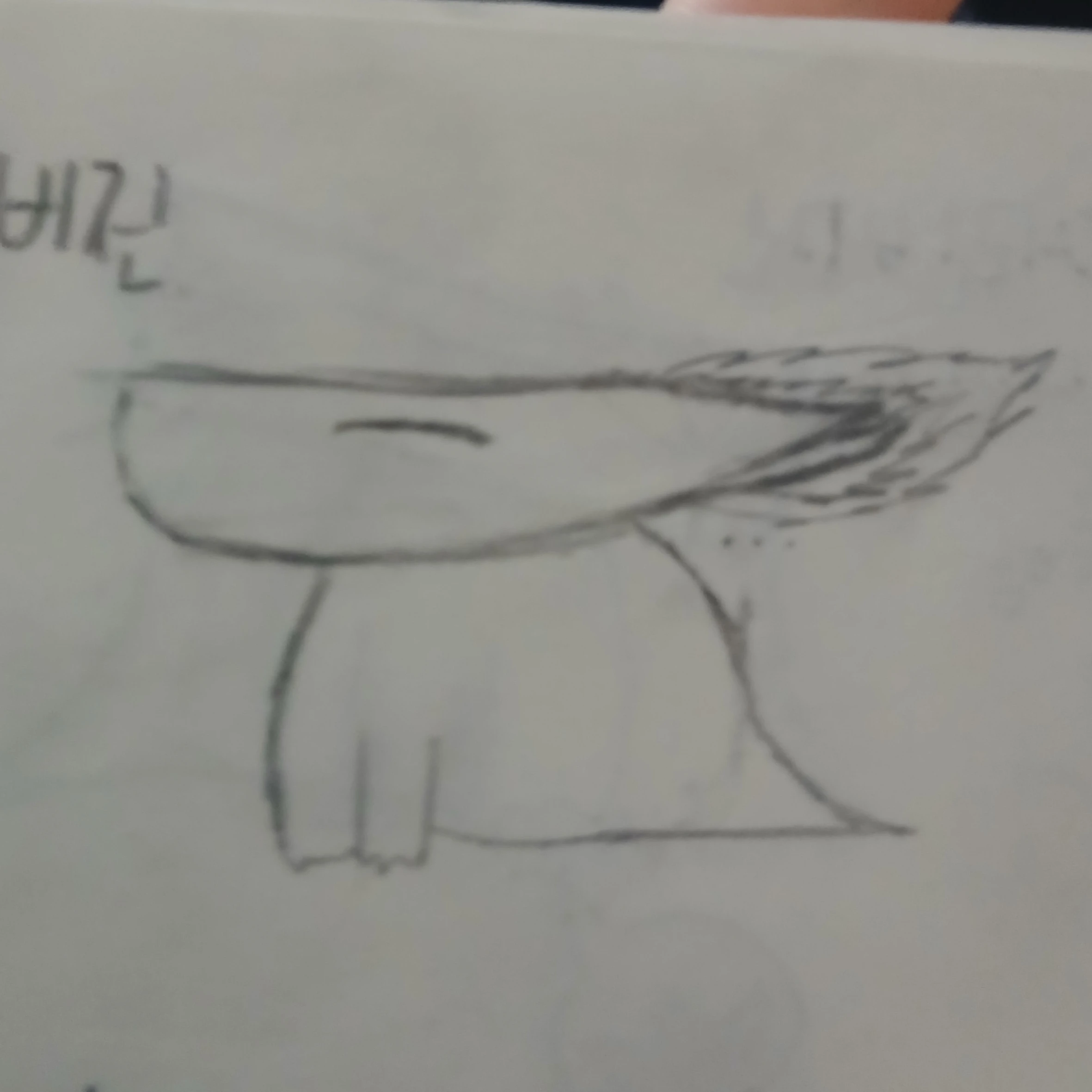 덱
