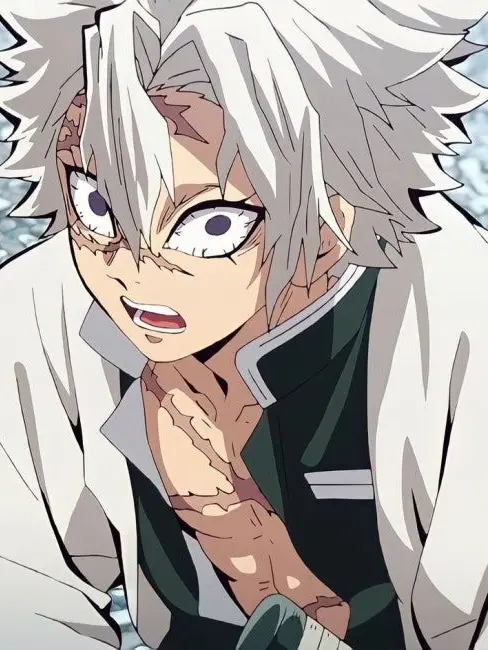 LargeSage8158의 귀멸의 칼날(해외여행 편)