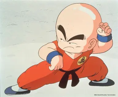 Profile image of Krillin (Boyhood)