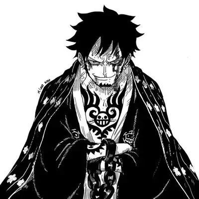 HugeForte2335의 Trafalgar Law
