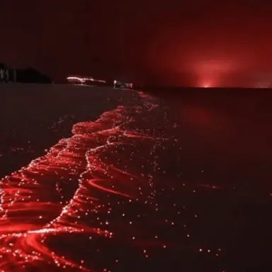 Profile image of 마플