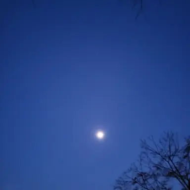 Profile image of 왕